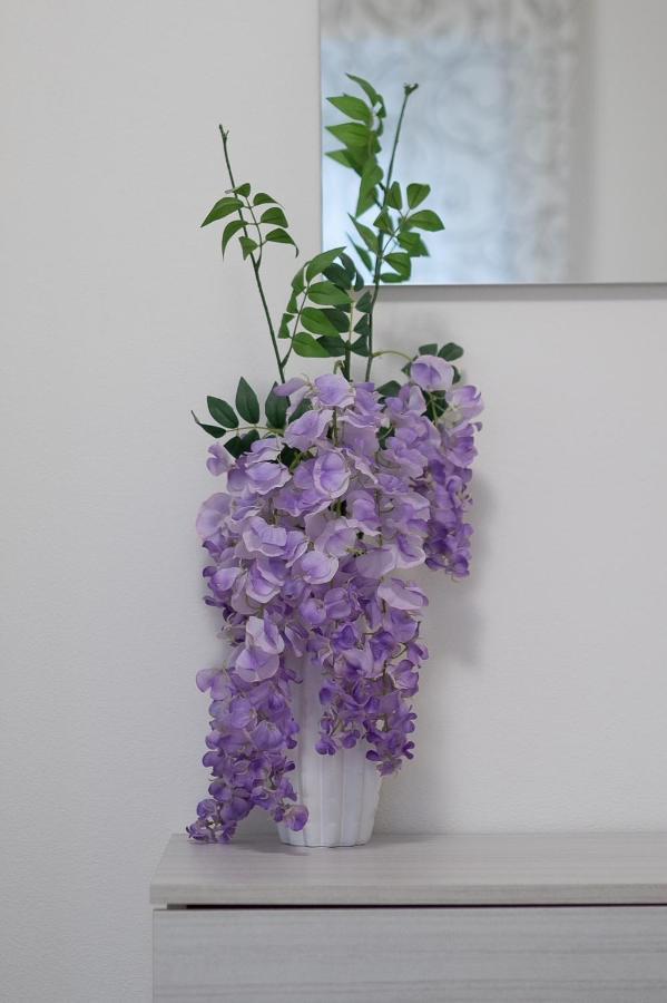 DomegliaraLa Casa Di Anna公寓 外观 照片